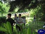 Triggiano: tanto verde per rilassarsi.