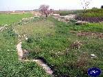 Triggiano: ramificazione partenza lama territorio gioia-sammichele