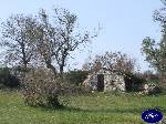 Triggiano: rudere in pietra vallone guidotti