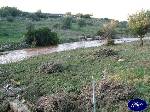 Triggiano: veduta del canale alluvione del 23.10.05