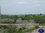 Triggiano: inizio ramificazione del canale in contrada monte sannace