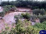 Triggiano: contrada vrazzullo alluvione del 23.10.05