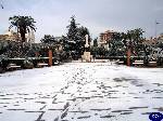 Triggiano: Piazza V. Veneto, monumento dei caduti